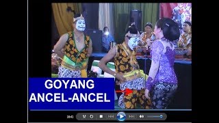 GAYA GOYANG LUCU GARENG  Sekarmayank HD [upl. by Rodi]