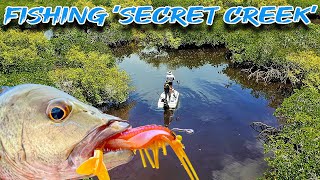 Skip casting Shrimp for Mangrove Jacks [upl. by Aitak]