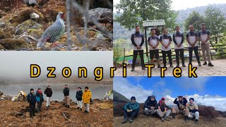 Dzongri Trek With Ksss Boys Toughest hike of Sikkim dzongritrek [upl. by Irolav]