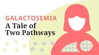 Galactosemia A Tale of Two Pathways—A brief overview of the galactose metabolic pathway [upl. by Yul]