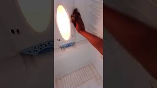 Clean my old fridge 🤢ASMR [upl. by Codi264]