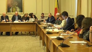 Declarația dr Anca Nițulescu în Comisia pentru Sănătate și Familie a Camerei Deputaților [upl. by Rosecan]