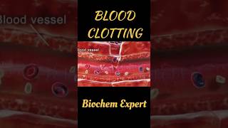 Blood Clotting  blood clotting animation  bloodclotting  blood bloodclottinganimation  clots [upl. by Akenihs]