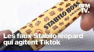 Le surligneur Stabilo léopard qui passionne Tiktok nexiste pas [upl. by Rot]