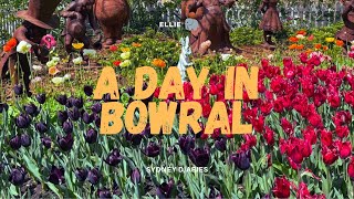 sydney diaries  day trip to bowral for antique shopping pastries and tulips [upl. by Enavi]