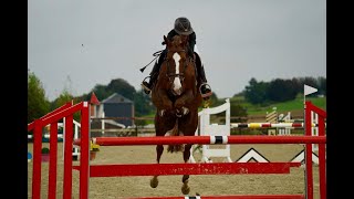 Knock Boy de la Gadaille KNOCK OUT DE LA RAMÉE x QUATOUBET DU ROUET  2014 gelding [upl. by Keary]