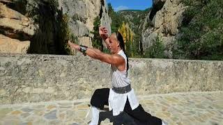 Hung Gar Form Sam Yin Kuen 洪家拳 蛇猫鹤混形拳 [upl. by Merrily]