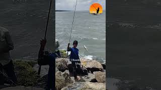 കതിരാൻChellanamFishingShortvideotrendingShortViralshorts youtubeshortsKerala Fishing [upl. by Htebazle]