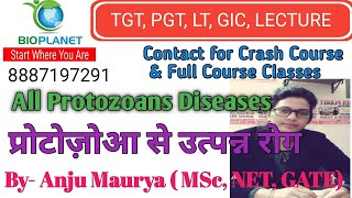 Protozoans Disease ll TGT PGT LT GIC LECTURER II By Anju Maurya ll [upl. by Kolivas624]