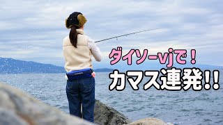 根魚狙いのはずがダイソーvjでカマス連発！夫婦２人釣り！【202311】 [upl. by Edgard]