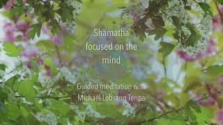 Shamatha Focused on the Mind  Guided meditation [upl. by Aikim505]