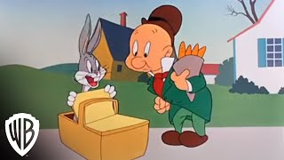 Looney Tunes  Platinum Collection Volume 1 Hare Tonic  Warner Bros Entertainment [upl. by Rendrag347]