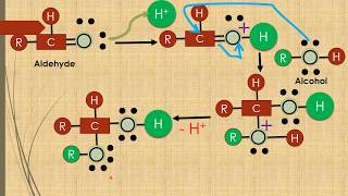 Hemiacetals formation Animation Alcohol  Aldehyde [upl. by Enylekcaj652]