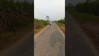 SPRINTING 200 METRES 😀✅ sprint race running minivlog 200metre athlete usainbolt milkhasingh😀 [upl. by Nomar]