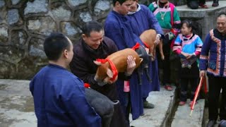 China begrüßt das Jahr des Schweines [upl. by Garnes]