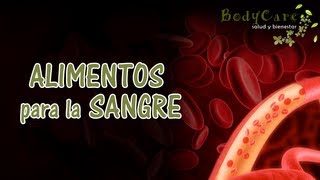 Alimentos para la sangre [upl. by Varuag]