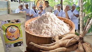 ✅️Cómo hacer HARINA DE YUCA en casa para arepas tortillas y panes SIN GLUTEN♥️ [upl. by Anirbaz]