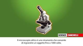 Il microscopio [upl. by Yaakov824]