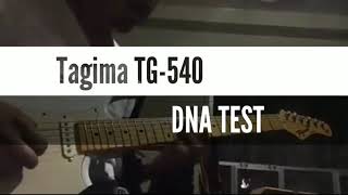 TAGIMA TG540  OverdriveDistortion and Clean [upl. by Gnanmas]