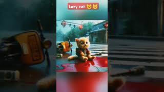 Lazy catai cat cutecatkittenstorytelling CreativeSRA [upl. by Hogg188]