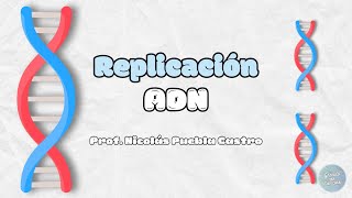 Replicación del ADN [upl. by Uriah]