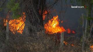 Grammichele Catania vasto incendio canadair in azione [upl. by Fauch]