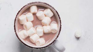 How to Make Hot Cocoa  Rich Chocolatey and Homemade [upl. by Ahsuat]