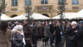 Fête de la truffe à Sarlat la dégustation de Croustous [upl. by Htiffirg]