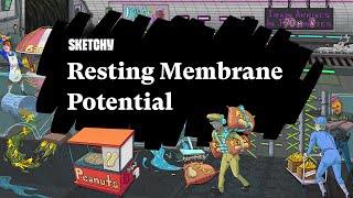 Resting Membrane Potentials A Study Guide Part 1  Sketchy Medical  USMLE Step 1 [upl. by Bywoods]