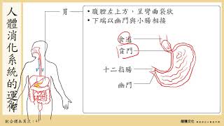 108選生三 22 消化系統1 人體消化系統一 [upl. by Temhem736]