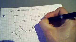 La similitudine  seconda media [upl. by Kelton259]
