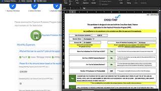 WomplyCross River PPP Application WalkThrough PROCESS HAS BEEN UPDATED NEW LINK IN DESCRIPTION [upl. by Atenaz]