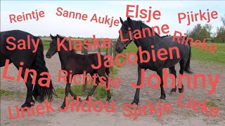 Pronounce the Friesian horse names in the Frisian language [upl. by Anitrak]