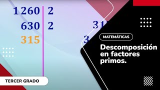 13 Descomposición en factores primos [upl. by Enaek901]