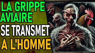 LA GRIPPE AVIAIRE Se Transmet Aux Humains [upl. by Sanyu872]