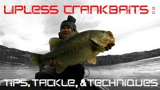 Lipless Crankbaits Tips Tackle and Techniques for Fall and Winter [upl. by Atilehs]