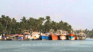 Passenger boats at Vembanad Lake [upl. by Cherin]