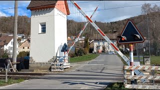 Bahnübergang Leimbach AG CH  Swiss Railroad Crossing [upl. by Celio216]