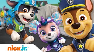 PAW Patrol All Paws on Deck to Stop Codi w Chase Rex Coral amp MORE Pups  Nick Jr [upl. by Arlene]