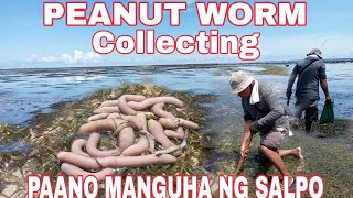 PEANUT WORM HUNTINGParaan sa Pagkuha ng Salpo [upl. by Adachi]