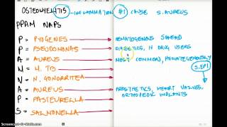 OSTEOMYELITIS  Easy Memorize Technique [upl. by Ferde]