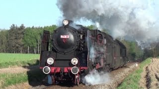 Poland PKPSteam Engines in Wolsztyn [upl. by Anaizit323]