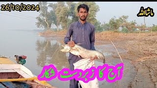 Uniq fish hunting in pakistan hook fishing crop fishing Big fishing rohu fish [upl. by Vedi53]