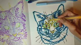 Stesha Se coloring book on amazoncom [upl. by Redman]