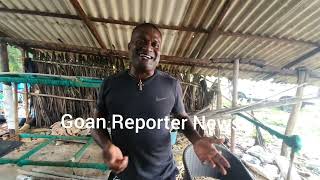 Goan Reporter Pele Fisherman ask RG Manoj Parab to come and help Benaulim Bypoll Candidate Grayfan [upl. by Emmeram]