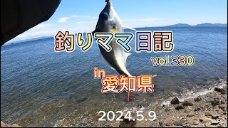 釣りママ日記vol330愛知県 [upl. by Dihgirb]