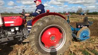 1965 Massey Ferguson 135 Multi Power 25 Litre 3Cyl Diesel Tractor 46 HP [upl. by Flannery586]