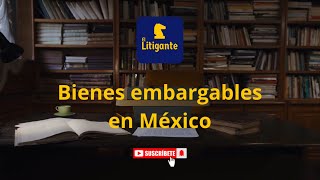 Embargos Bienes embargables en México [upl. by Christal]