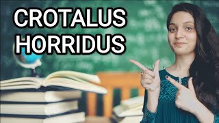 CROTALUS HORRIDUS HOMOEOPATHIC MEDICINEEXPLAINED WITH ALLEN KEYNOTES DRDEEKSHA [upl. by Enerod]