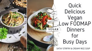 Quick Delicious Dinners for Busy Days  Vegan Low FODMAP Dinner Recipes [upl. by Savadove]